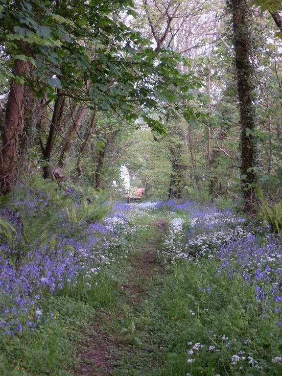 Priskilly Forest Country House Fishguard Luaran gambar