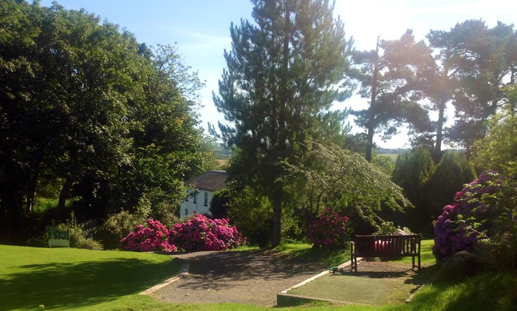 Priskilly Forest Country House Fishguard Bilik gambar